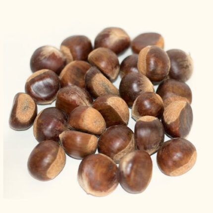 Premium chestnuts for sale