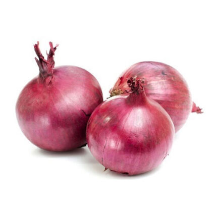 Fresh onions for sale