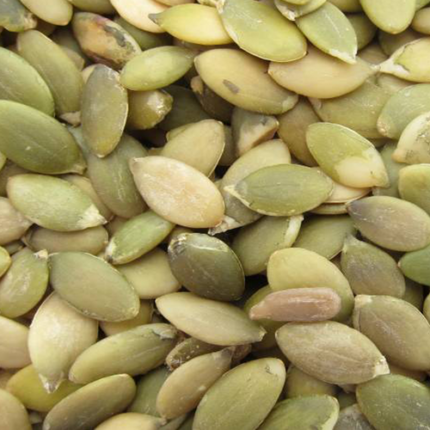 premium pumpkin seeds for sale.