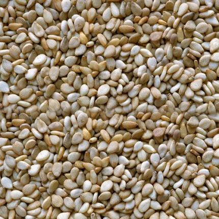 Explore high-quality sesame seeds for sale