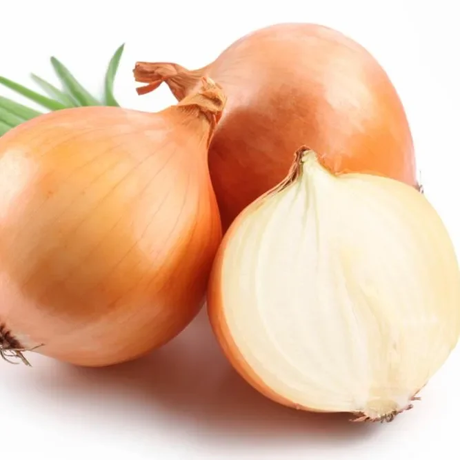 Fresh Red Onion With High Quality To Export