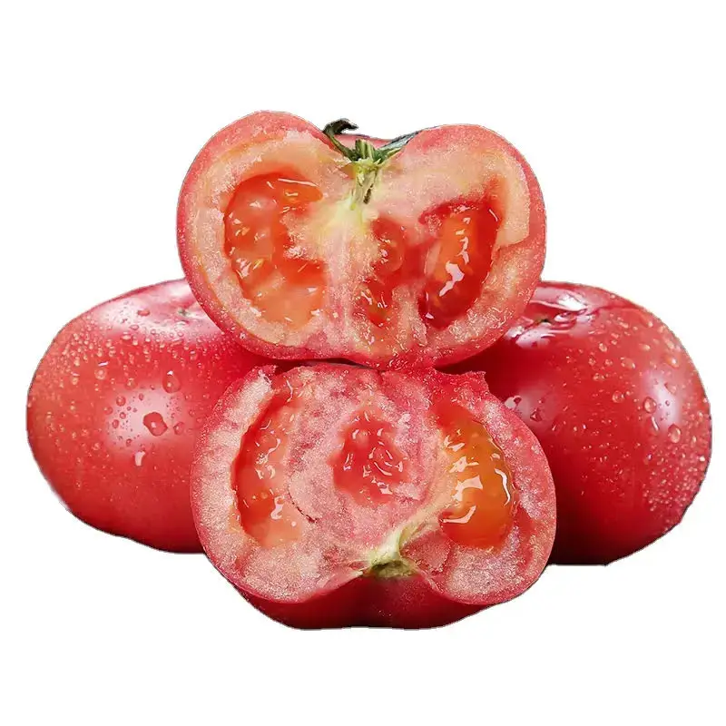 Frozen Bulk Organic Fresh Tomatoes / Heathy Delicious Fresh Tomatoes