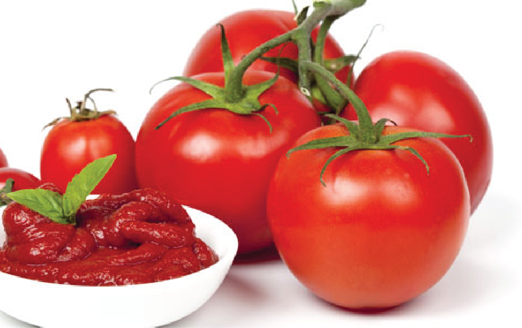 Buy Tomato Paste