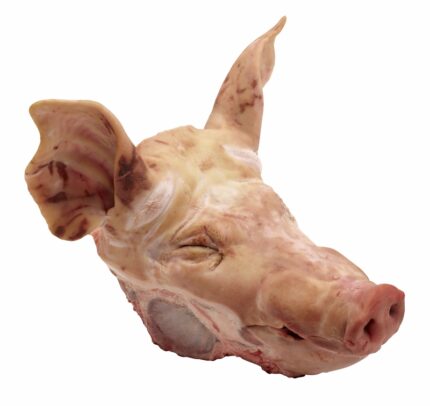 FROZEN PORK HEAD FOR SALE