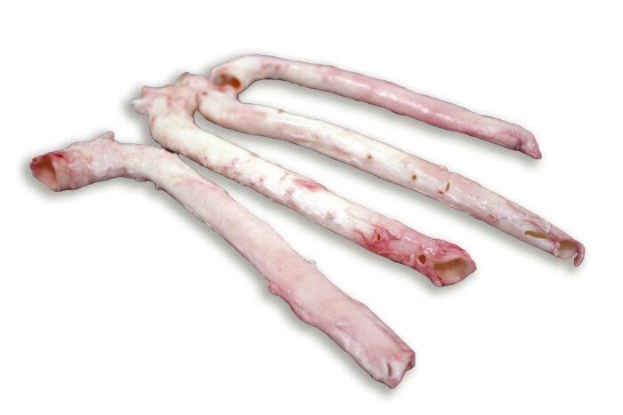 FROZEN PORK AORTA FOR SALE