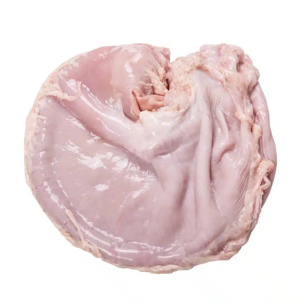 FROZEN PORK STOMACHS FOR SALE