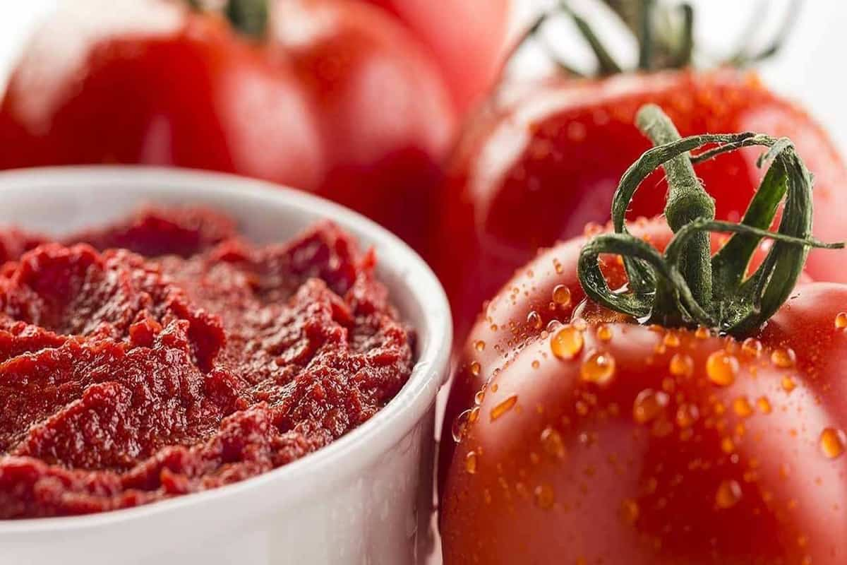 Where to Buy Tomato Paste Online