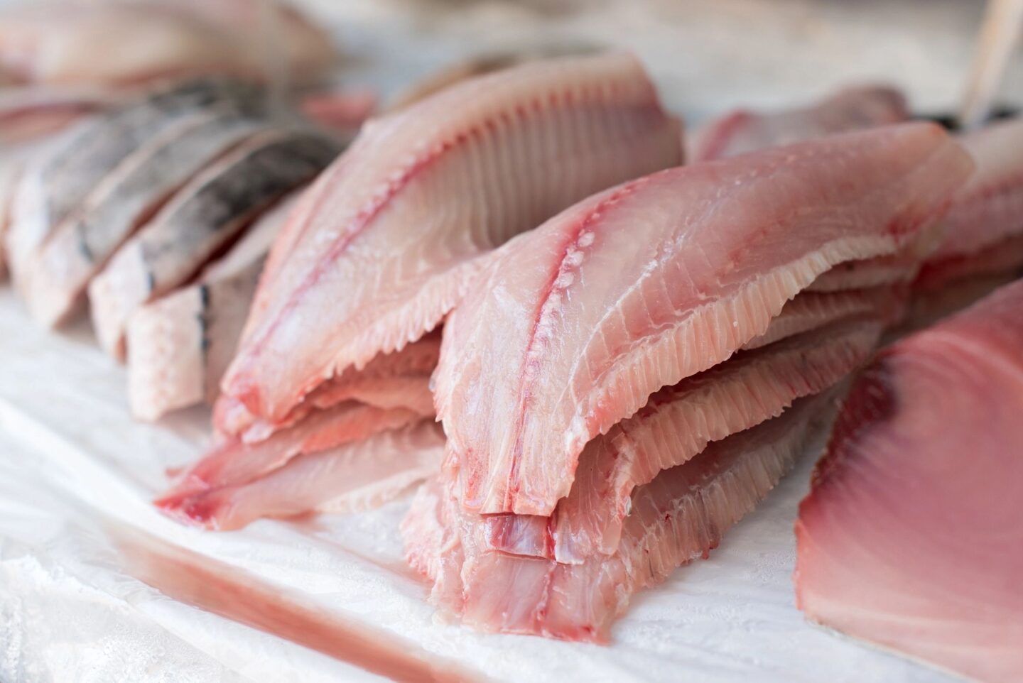 Buy Frozen Seafood Fish fillets Online