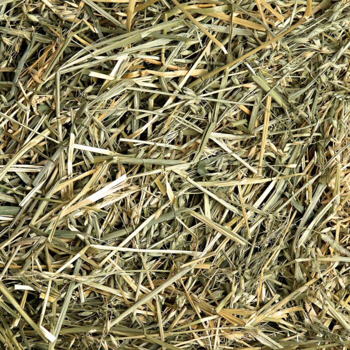 Get premium Oat Hay for sale at unbeatable prices