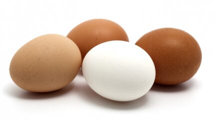 Discover farm-fresh White & Brown Eggs for sale