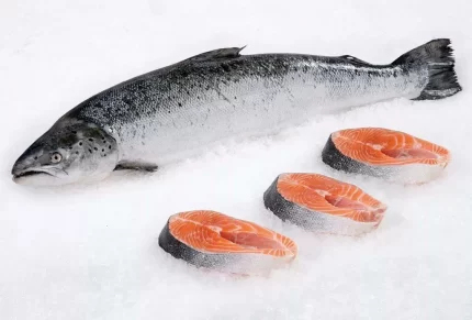 Atlantic Salmon Fillet Sale